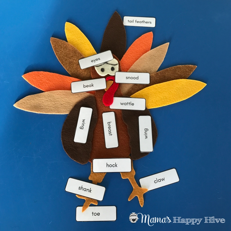 Diy Felt Turkey With Free Printable Template