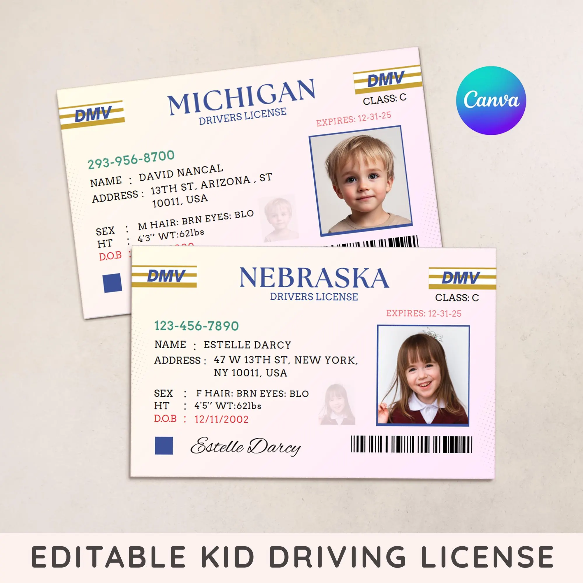 Drivers License Template