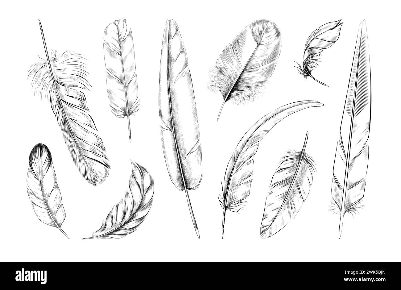 duck feather pattern template