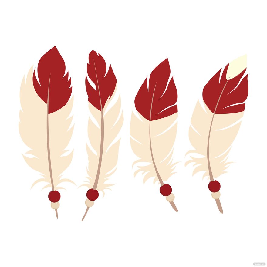 Eagle Feather Vector