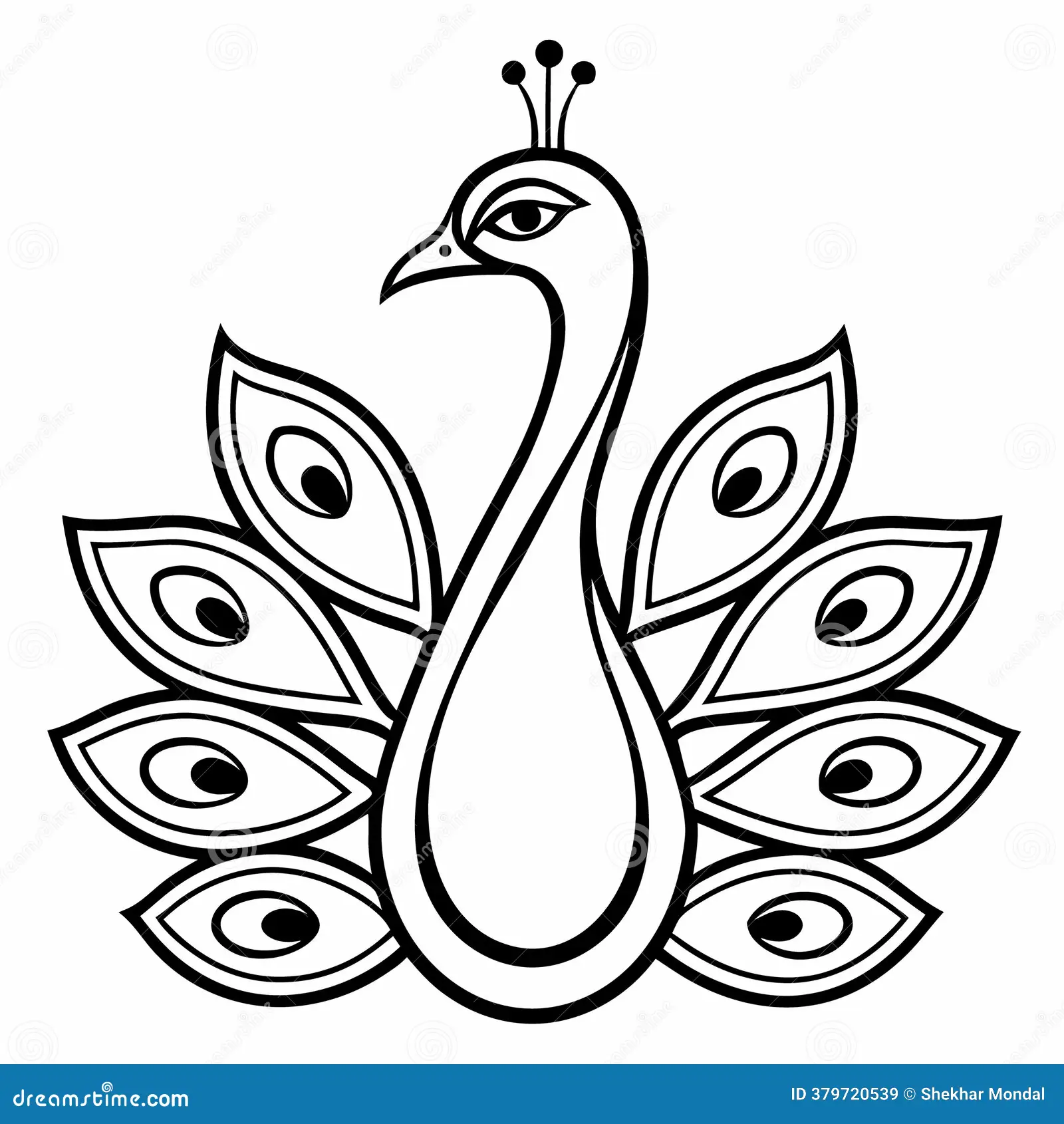 Elegant Peacock Illustration Line Art Detailed Feather Pattern Design Template Graceful Rendered Minimalist Black Image379720539