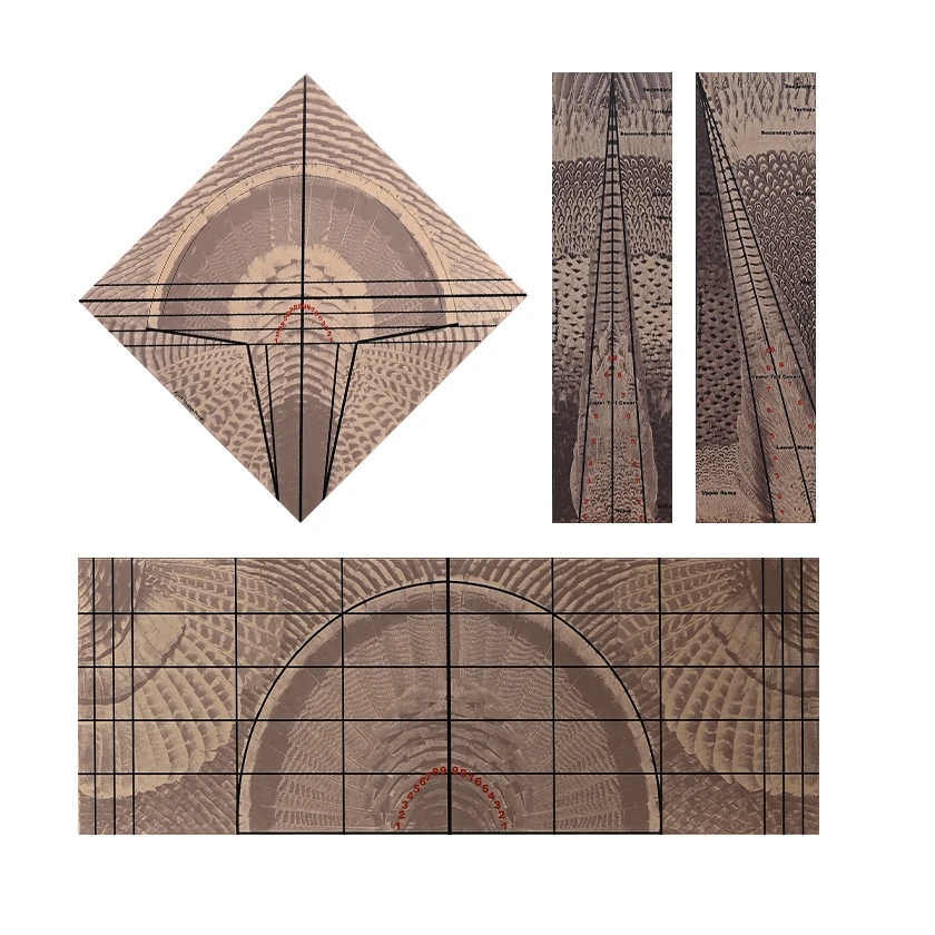 Feather Art Templates By Jeff Fredrick