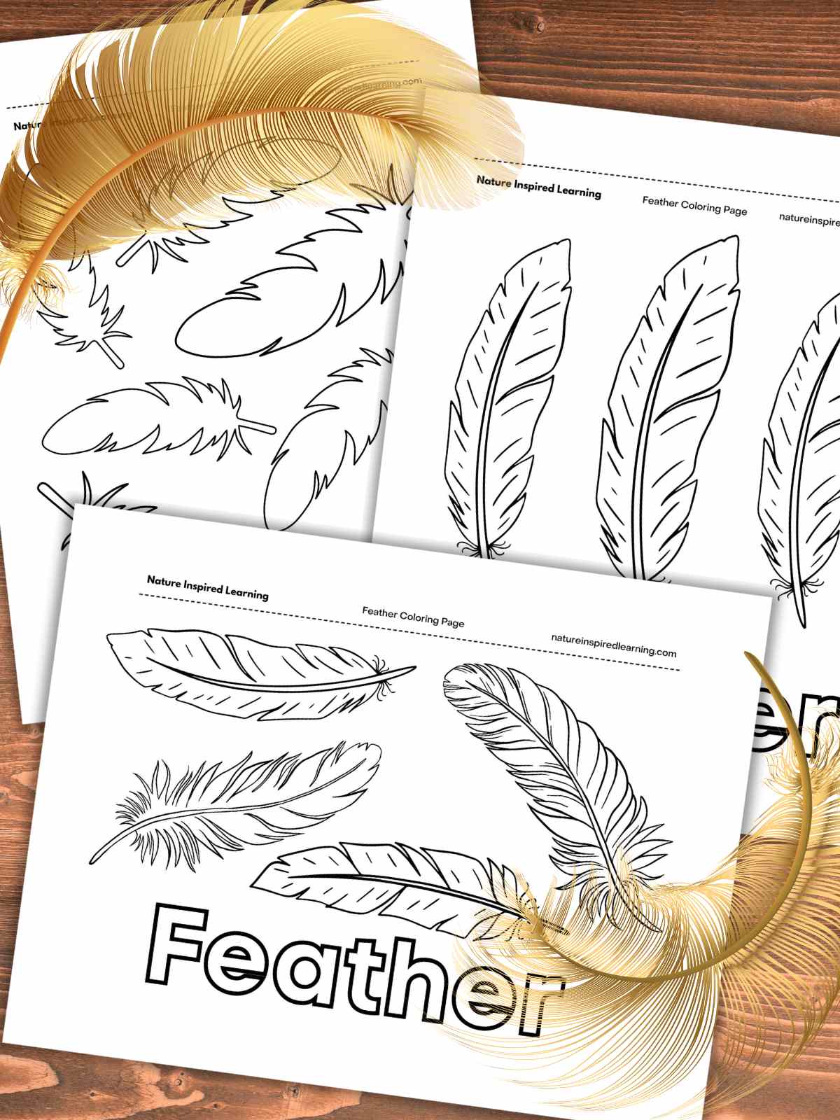 printable feather template free