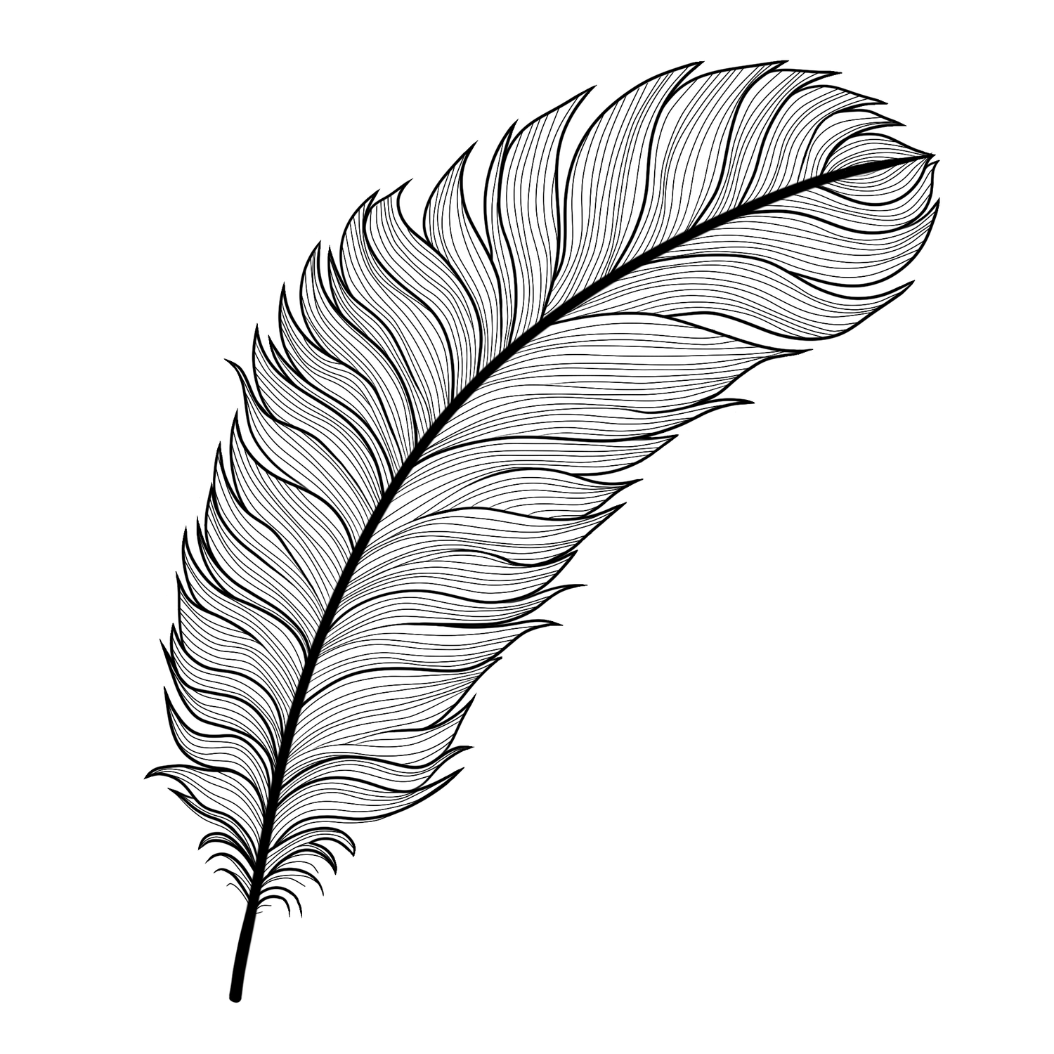Feather Template Royalty Free