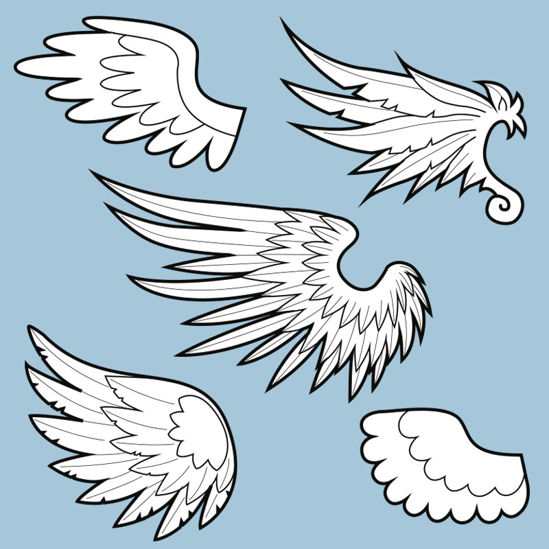feather template for wings feather template for wings