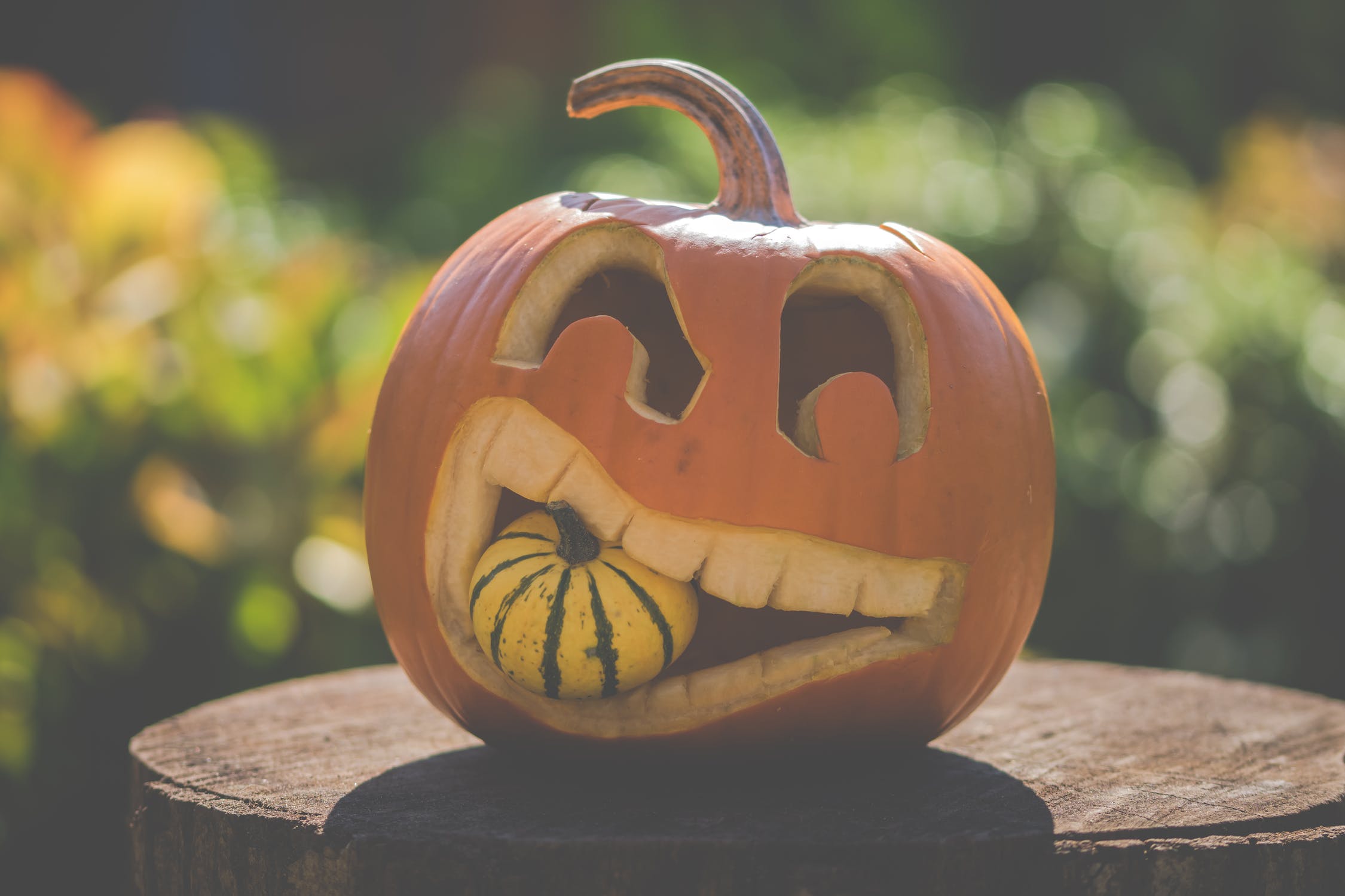 Free Halloween Pumpkin Carving Stencils Free Halloween Pumpkin Carving Stencils