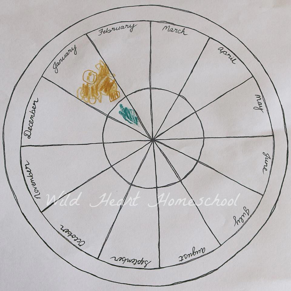 Free Phenology Wheel Template For The Southern Hemisphere Free Phenology Wheel Template For The Southern Hemisphere