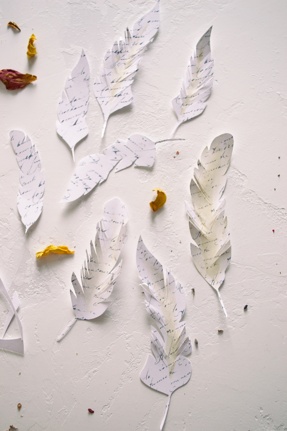 construction paper feather template