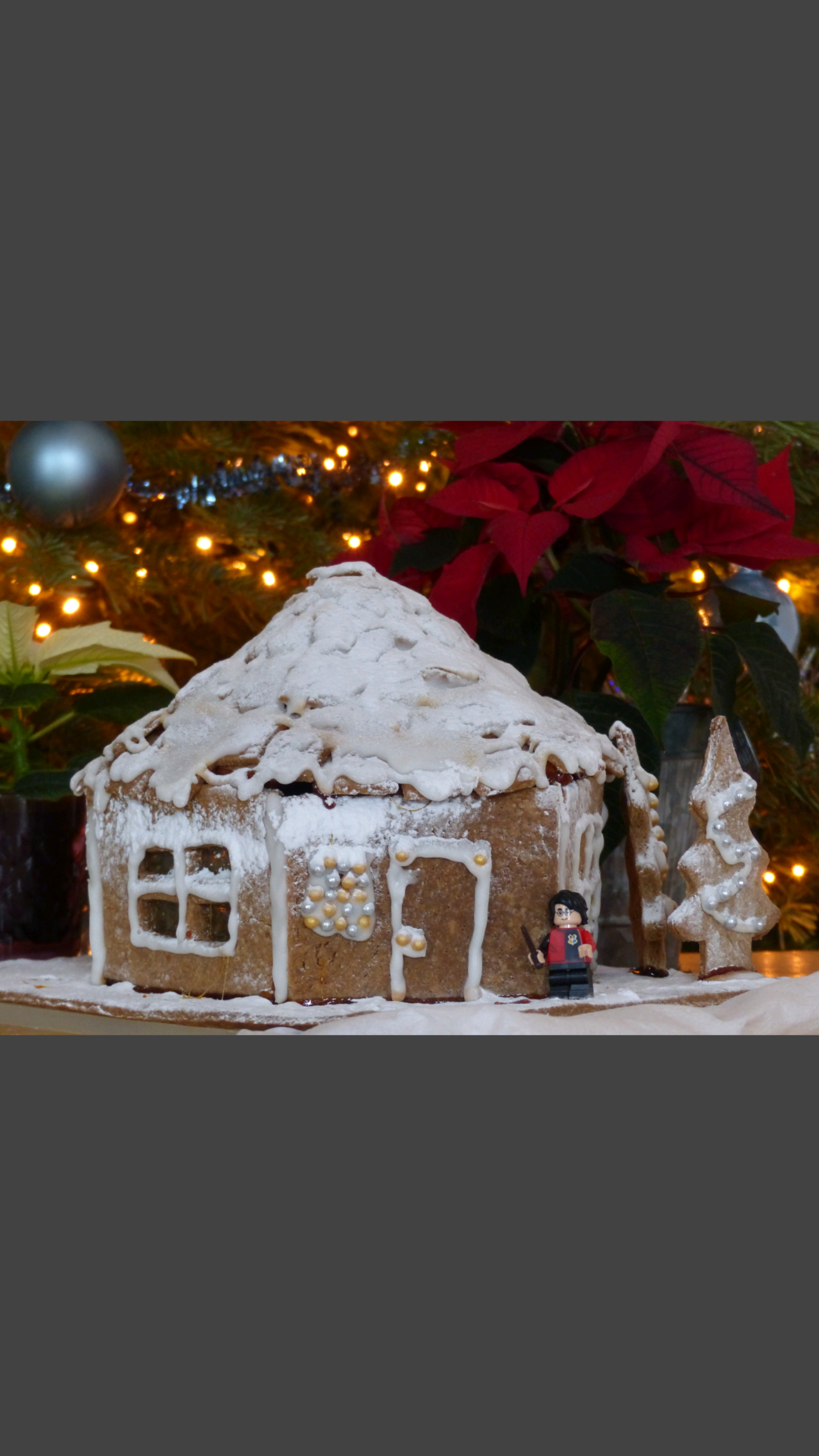 Hagrids Hut Made Of Gingerbread