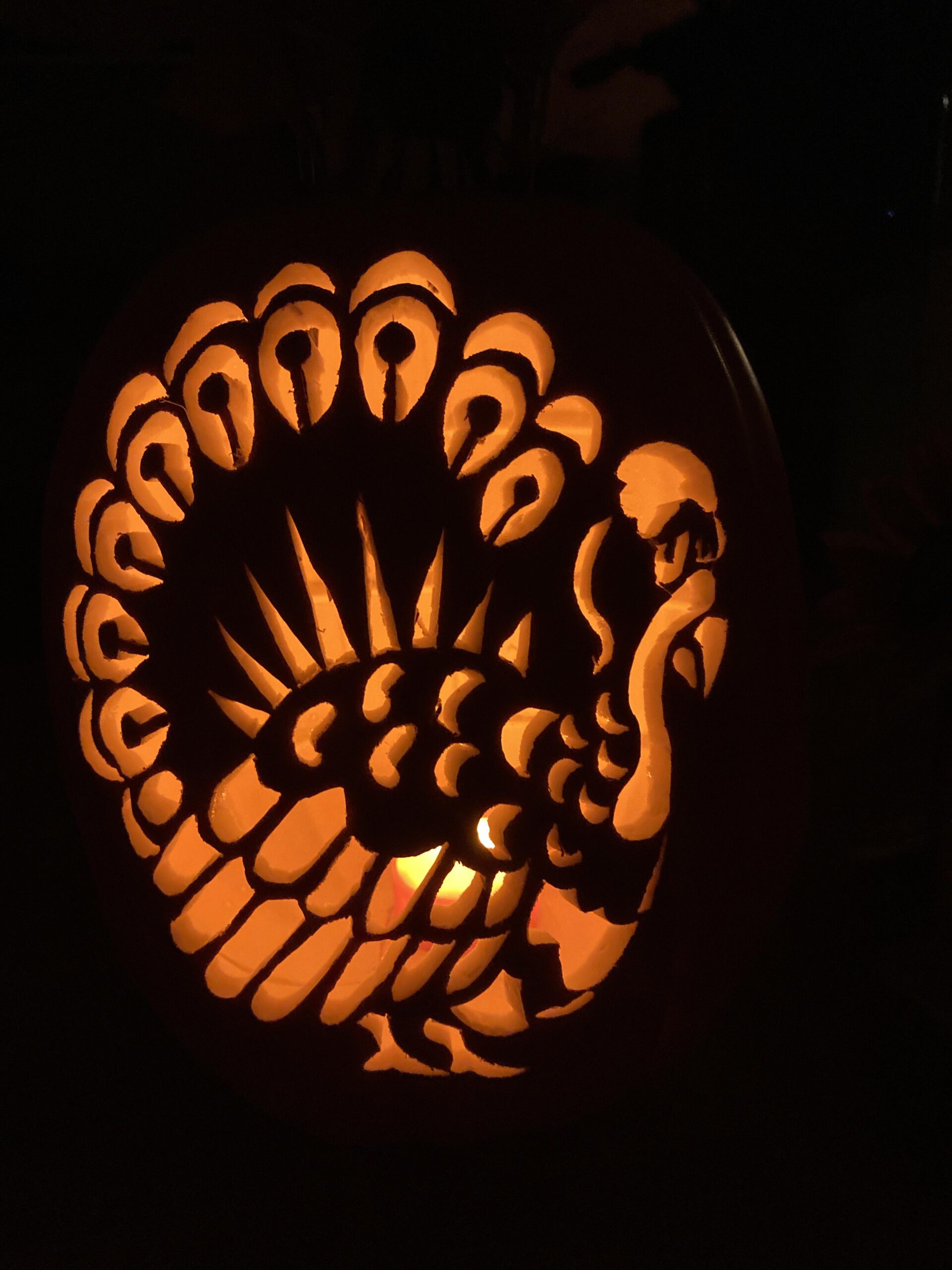 Happy Thanksgiving My Turkey Pumpkin And Can