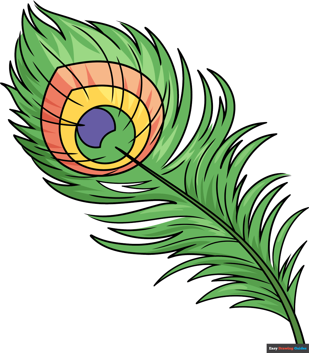 How To Draw A Peacock Feather