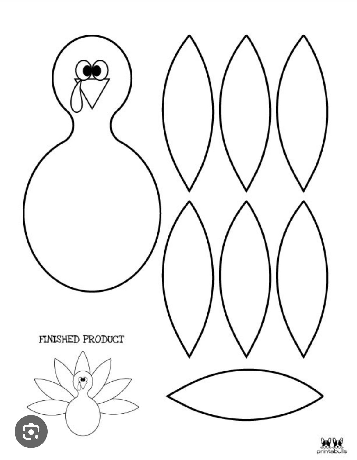 Large Turkey Feather Template Free Printable Large Turkey Feather Template Free Printable