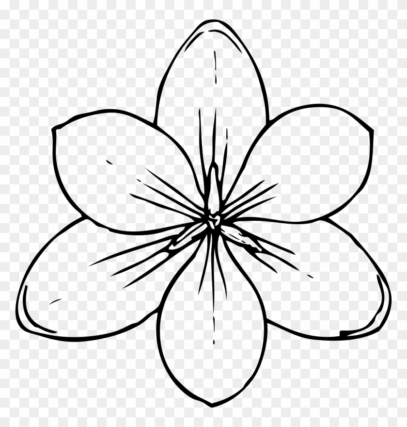 M2K9A0A0m2d3i8A0 Free Printable Flower Stencil Templates Coloring Pages Of Flowers