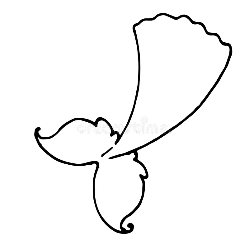 Mermaid Tails Hand Drawn Doodle Style Tail Isolated Black Line White Background Design Template Colorful Vector Sea Image233021673