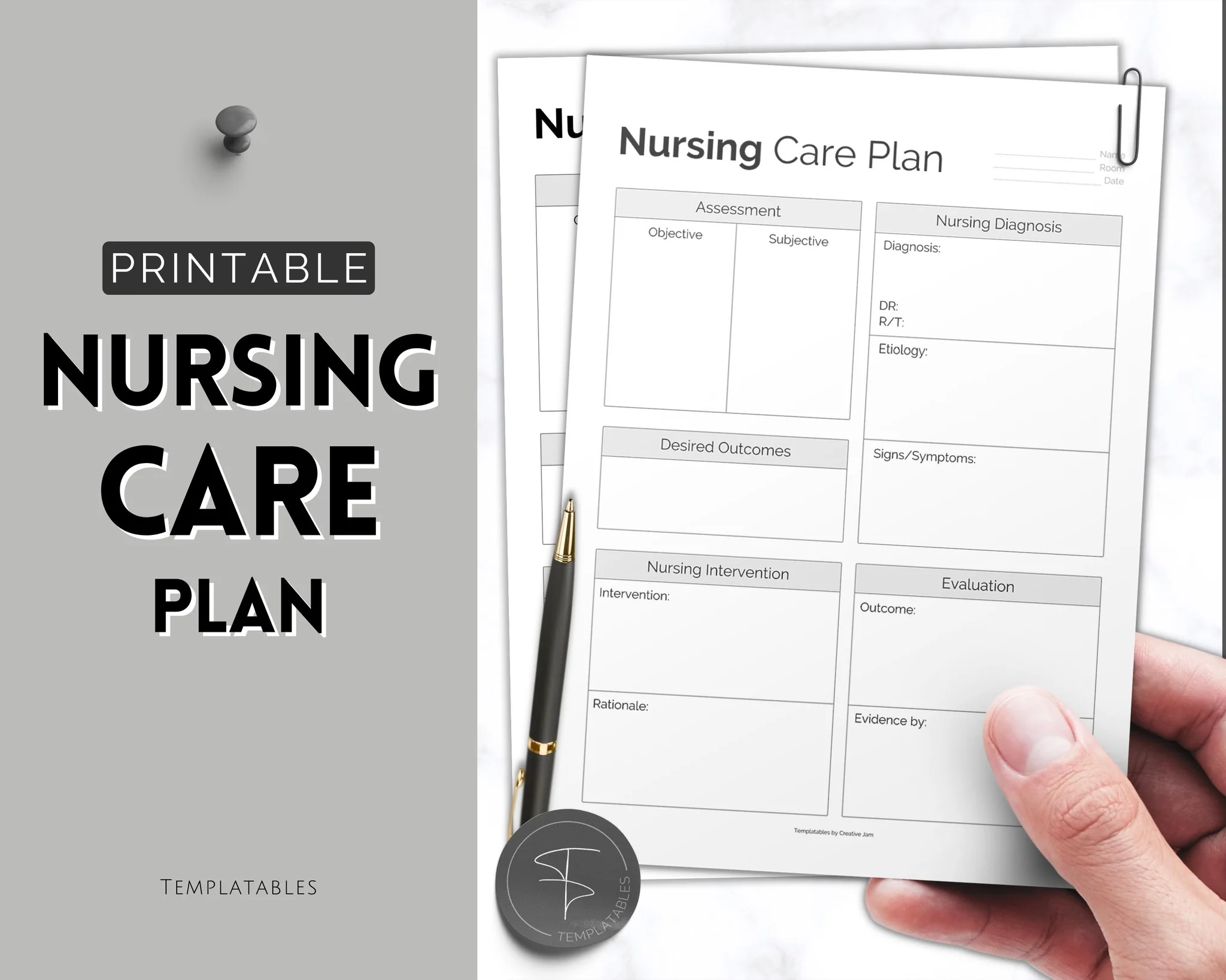 printable care plan template