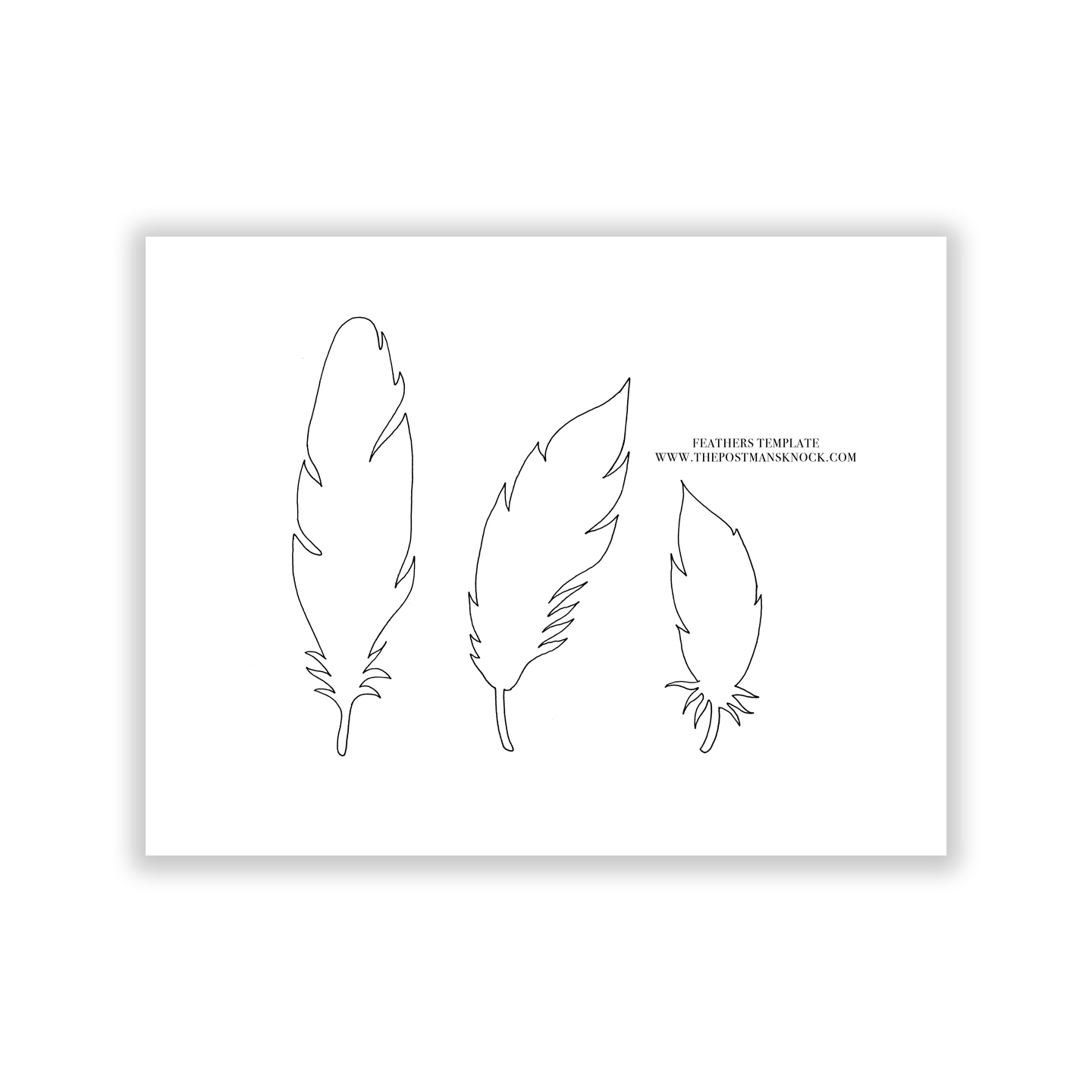 Paper Feathers Template