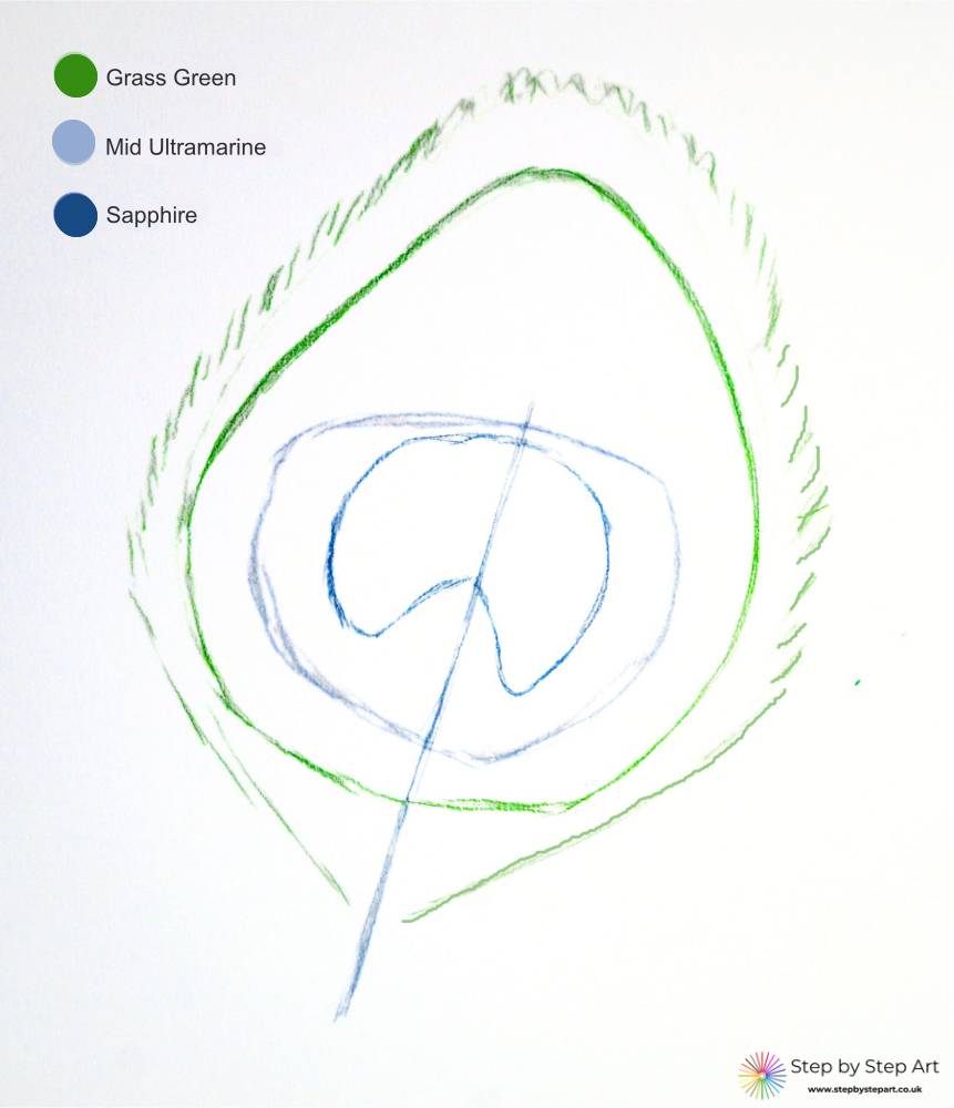 Peacock Feather In Coloured Pencils Tutorial