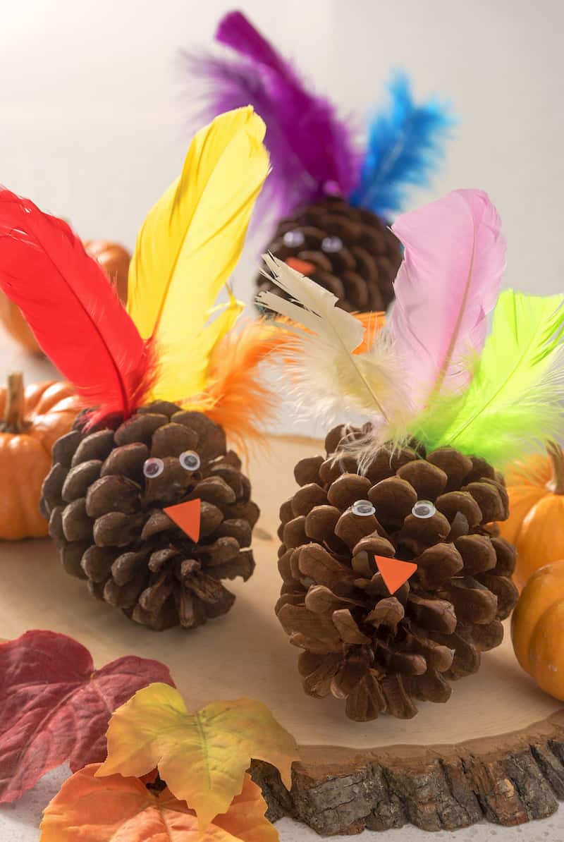 Pinecone Turkey Pinecone Turkey