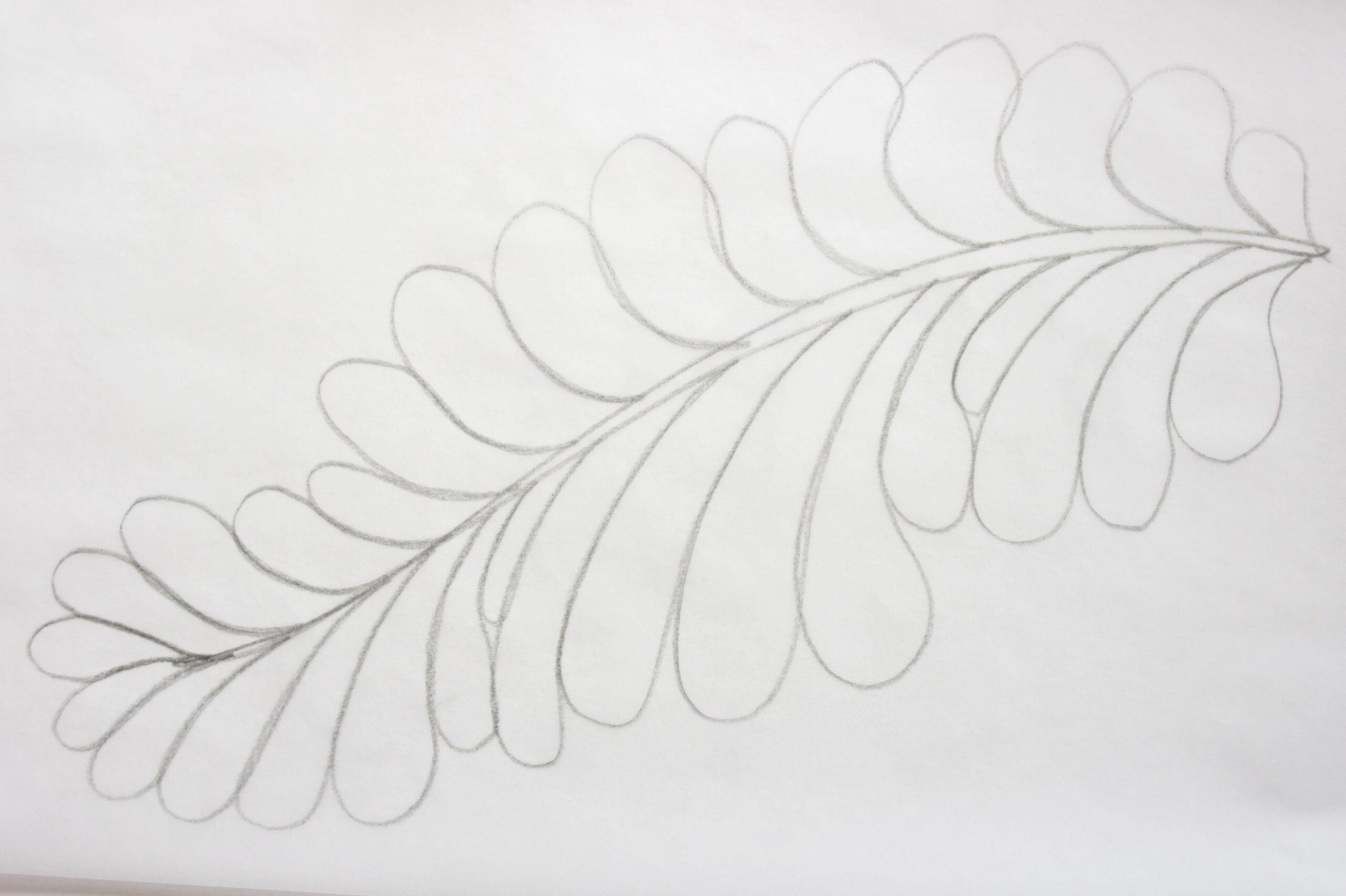 Quilting Free Motion Feathers How Do You Start
