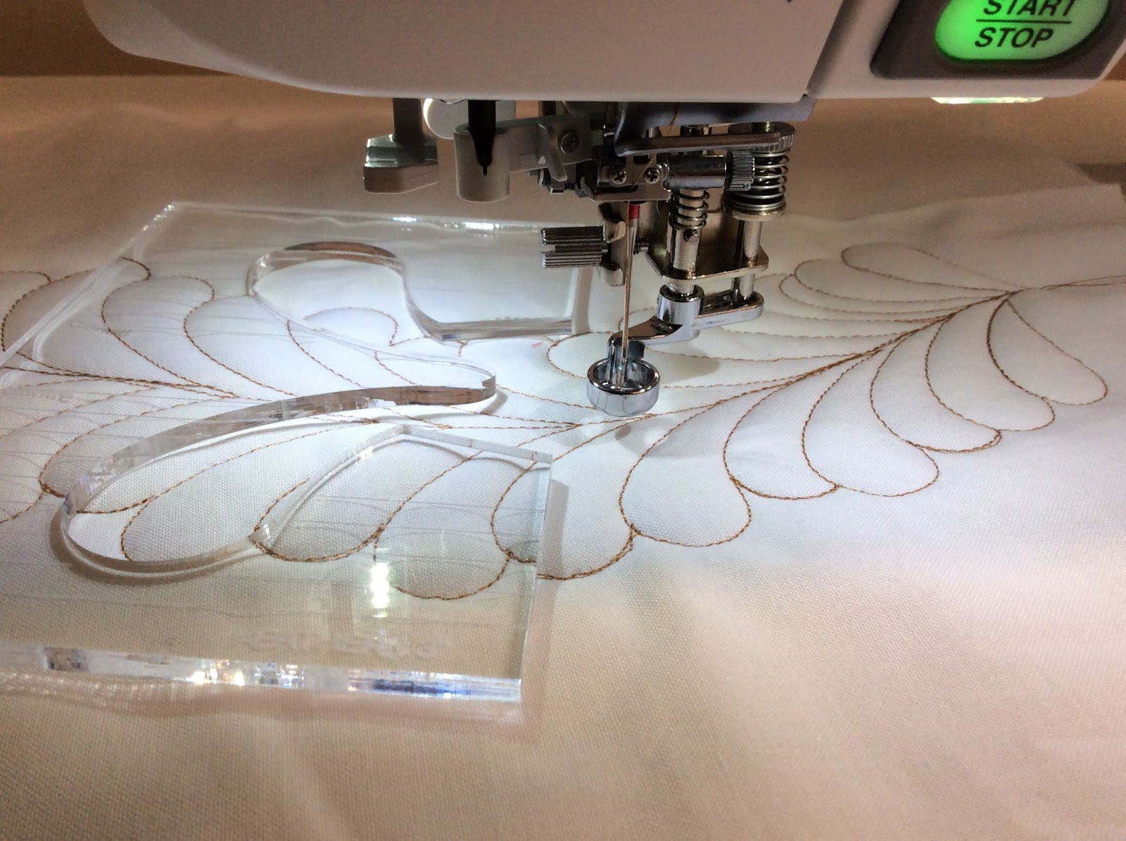 Quilting With Rulers Feather Template