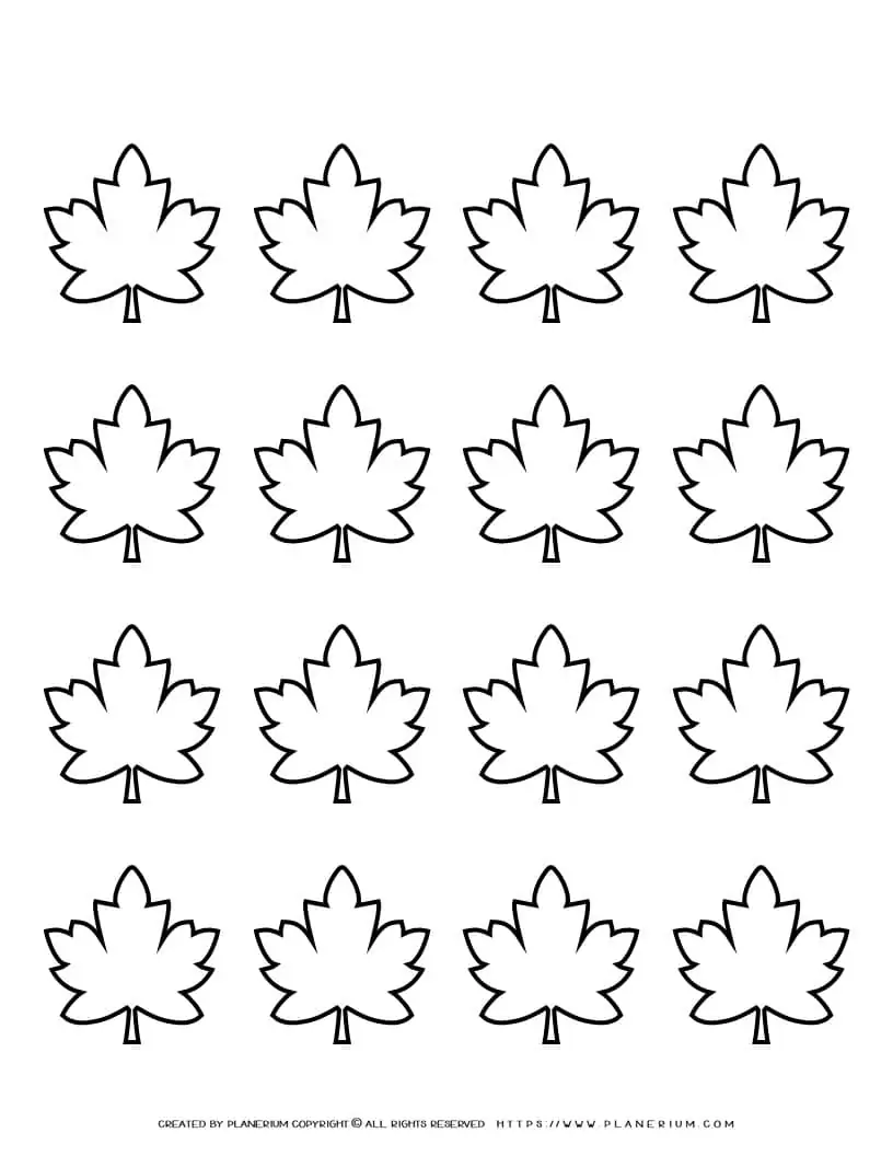 Sixteen Maple Leaves Sixteen Maple Leaves