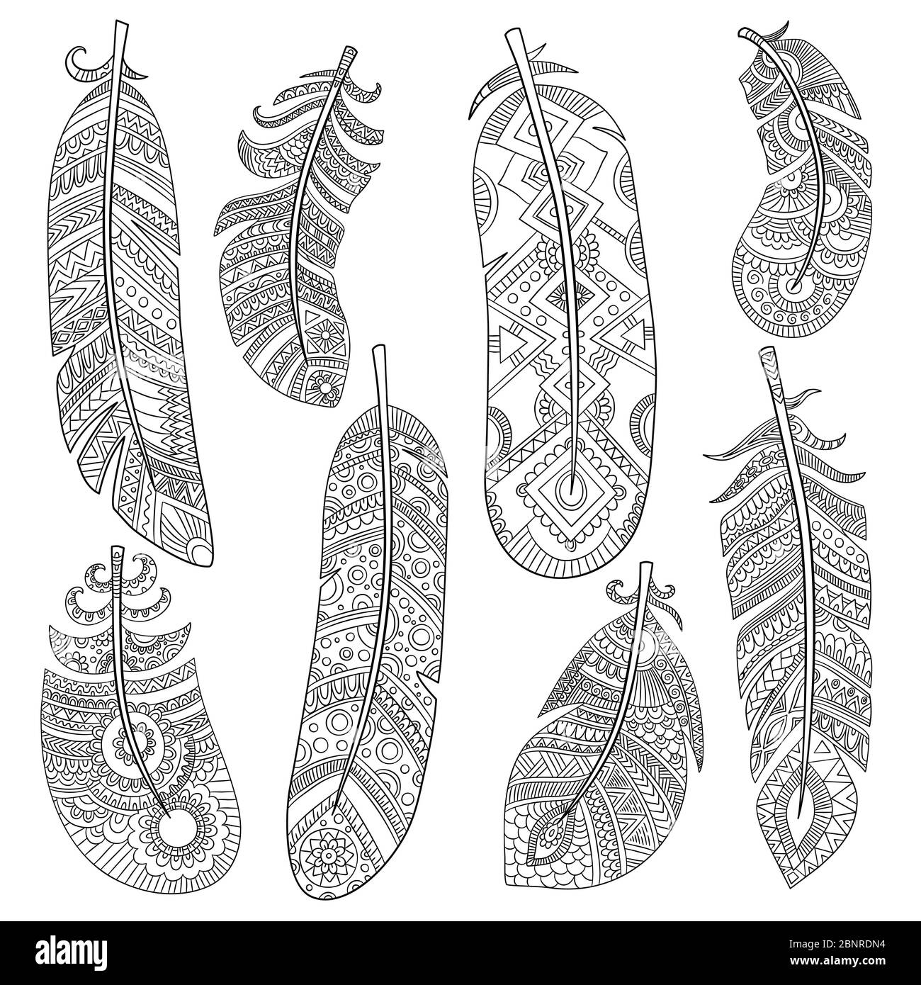 Soft Feather Pattern