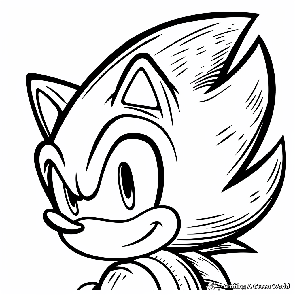 Sonic The Hedgehogs Face