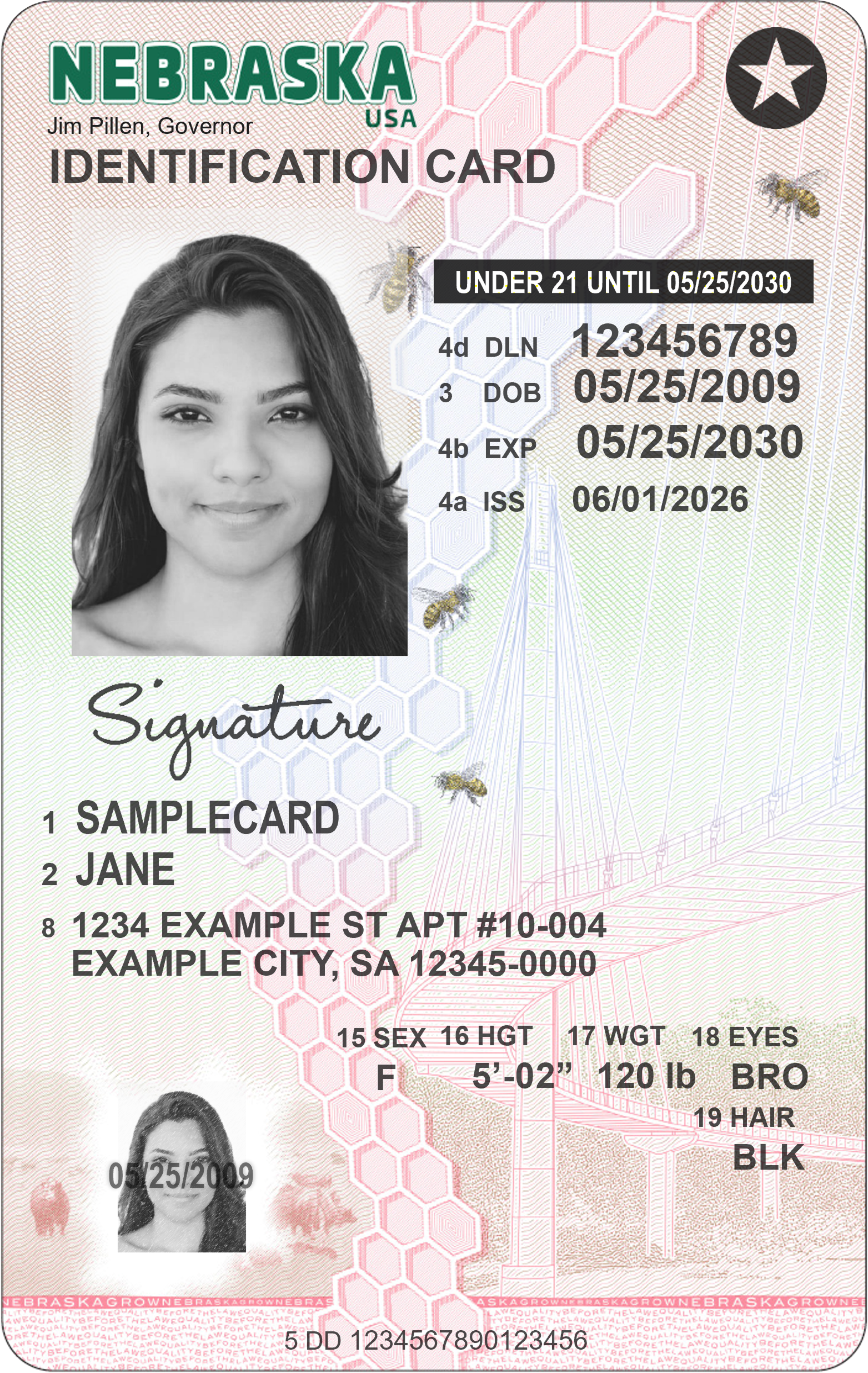 printable blank drivers license template