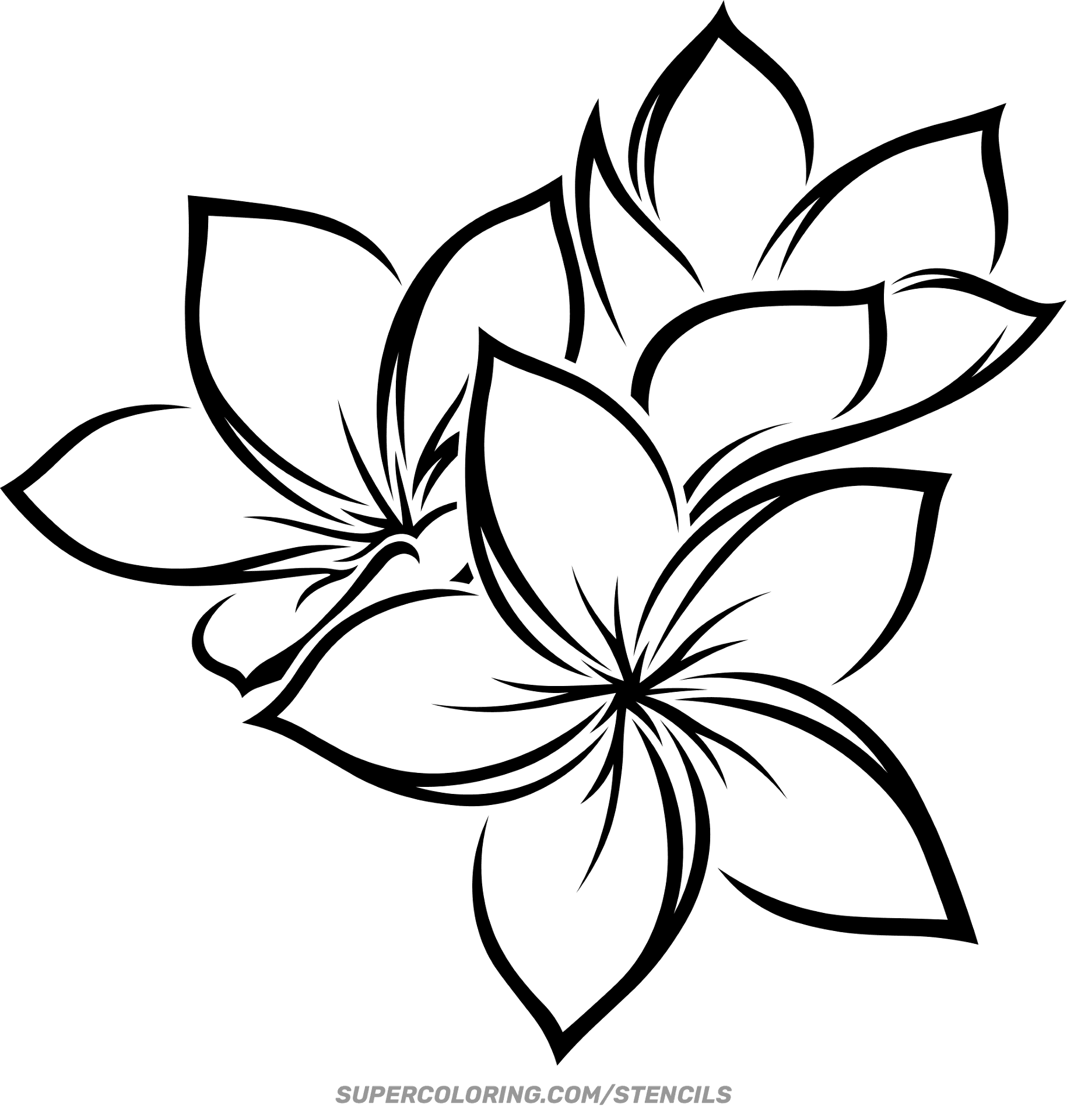Stencil Of Hawaiian Flower Stencil Of Hawaiian Flower