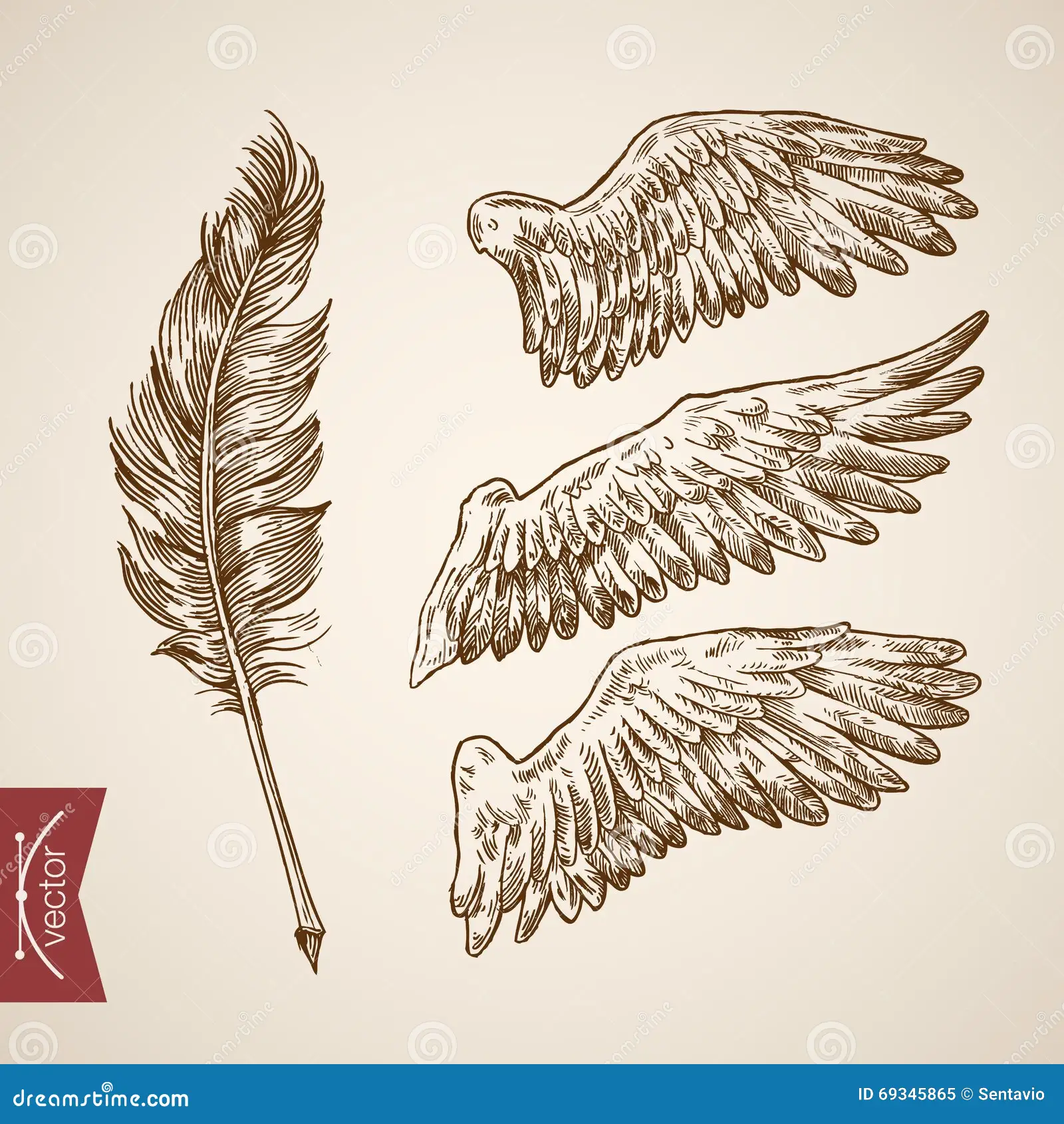 Stock Illustration Angel Bird Wings Feather Template Engraving Retro Vintage Vector Icon Set Style Pen Pencil Crosshatch Hatching Paper Painting Image69345865