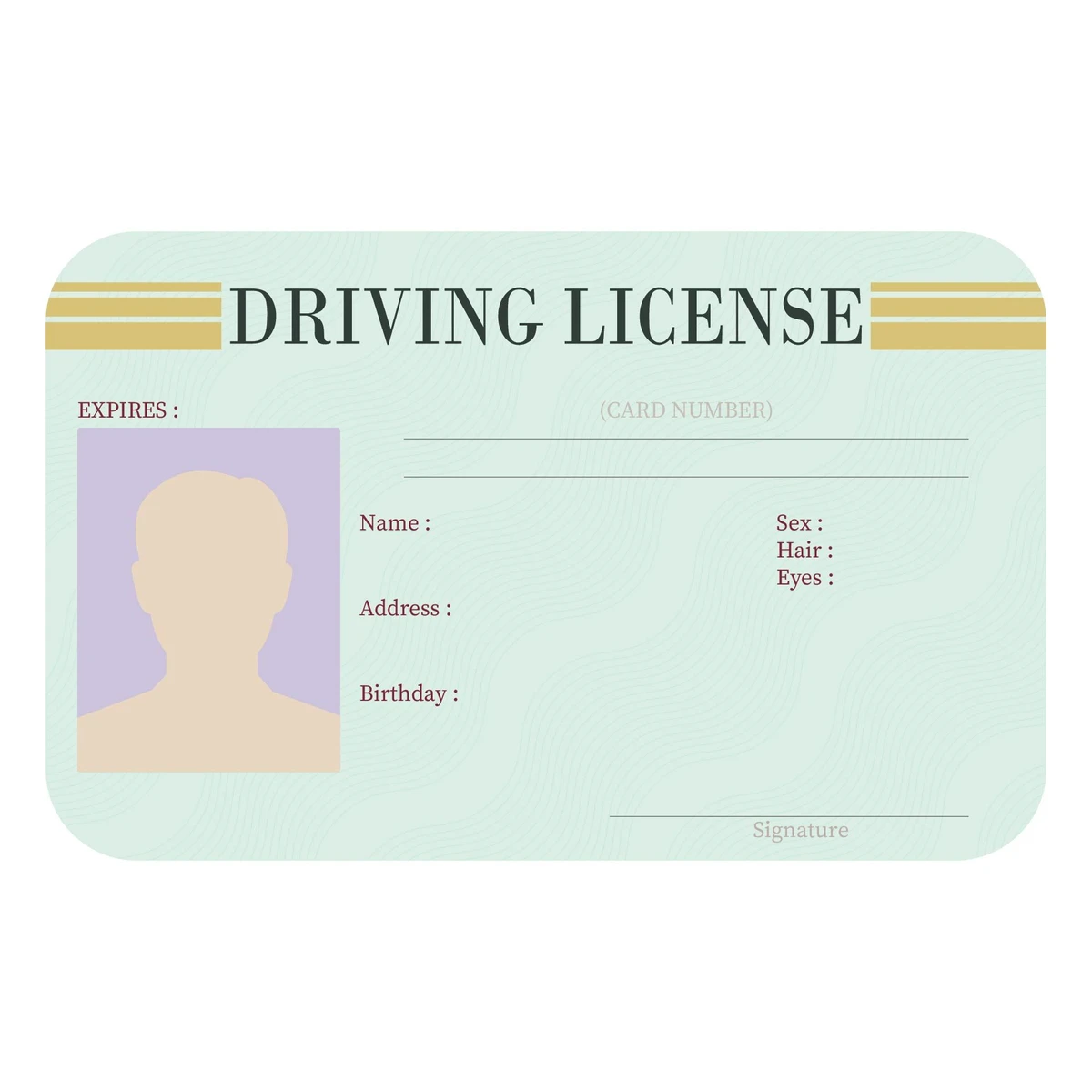 Texas Drivers License Template Photoshop