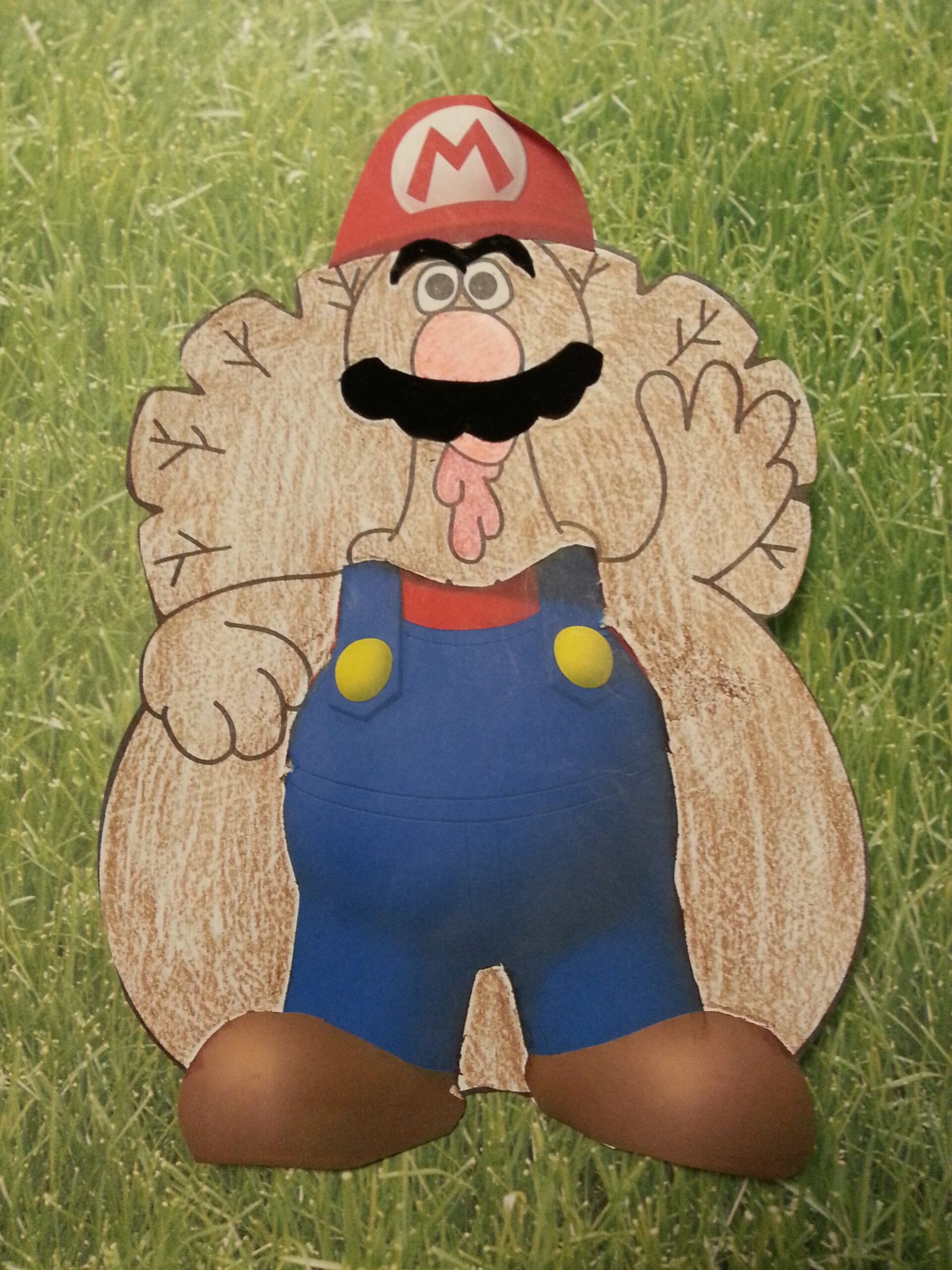 Tom Turkey School Project Tom Turkey School Project