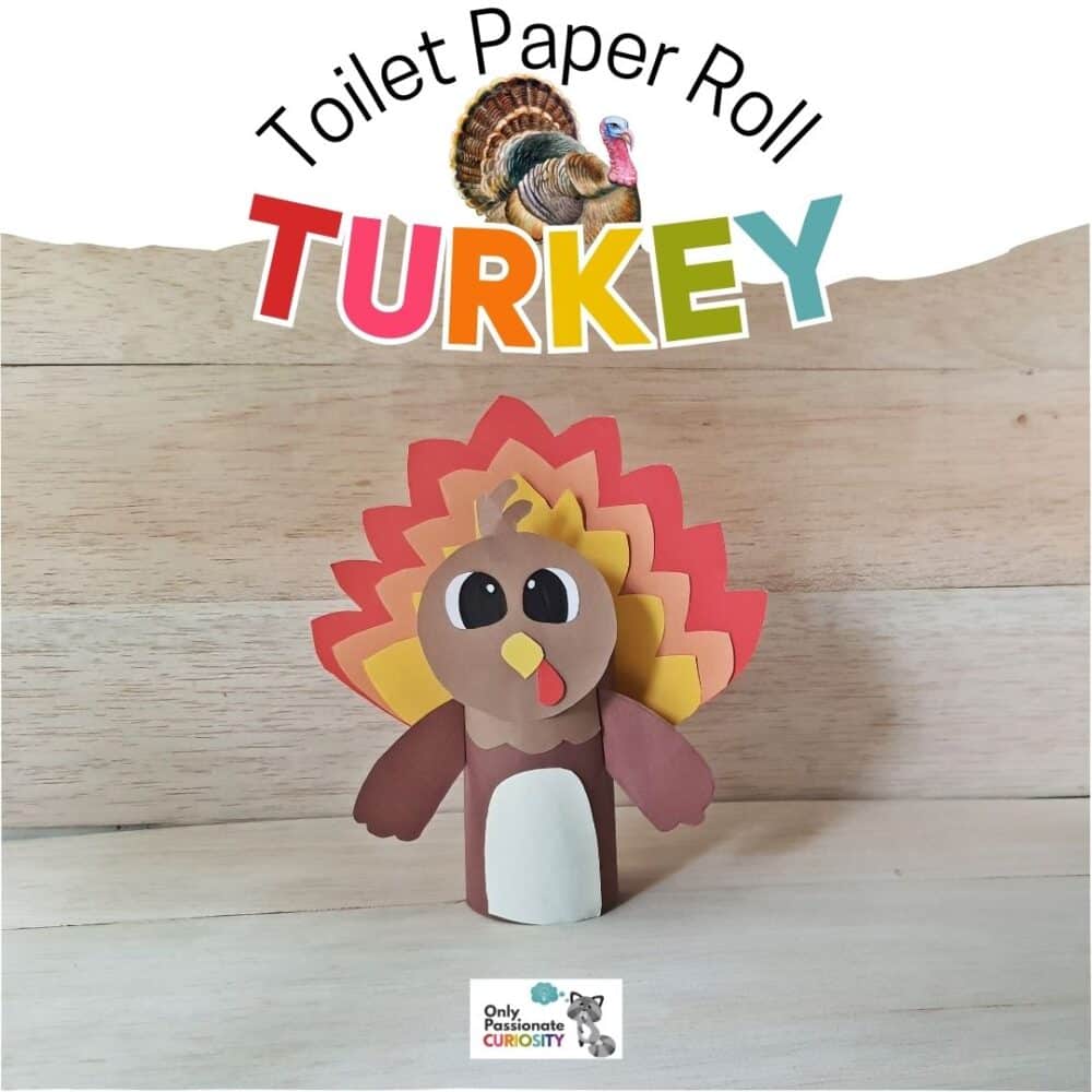 Tp Roll Turkey Craft