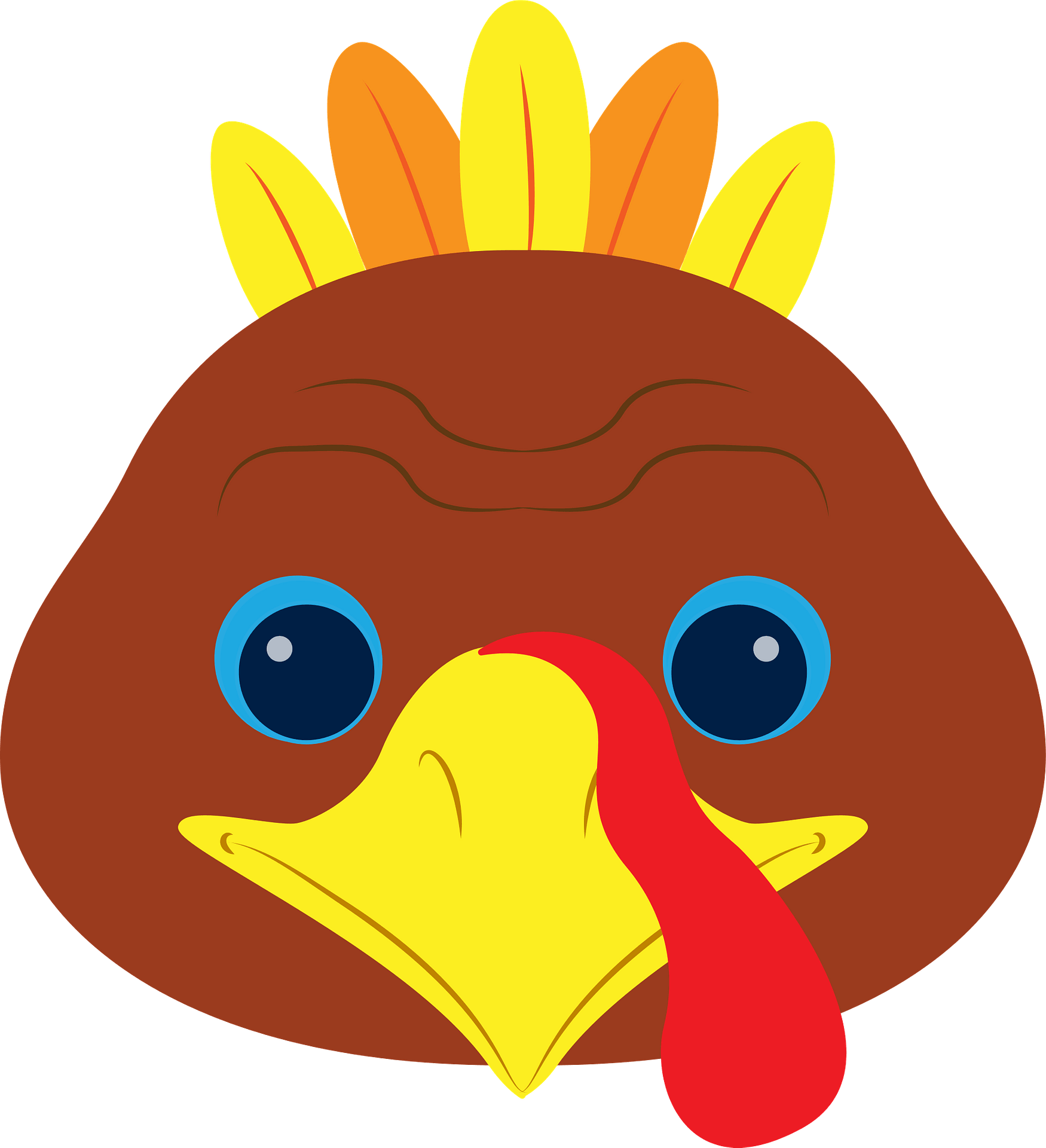 Turkey Face