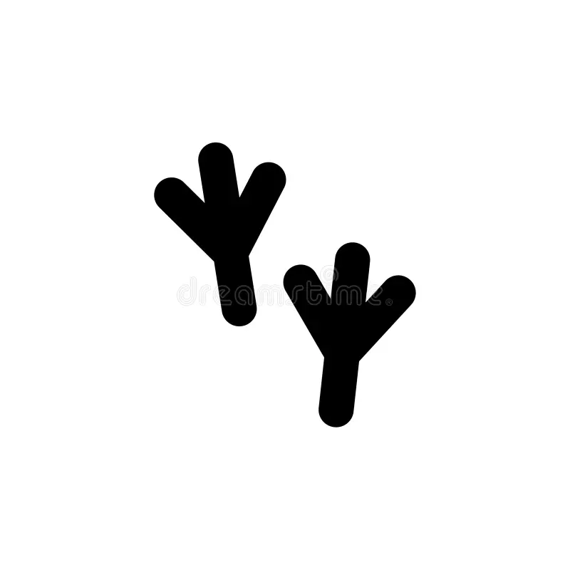 turkey feet template