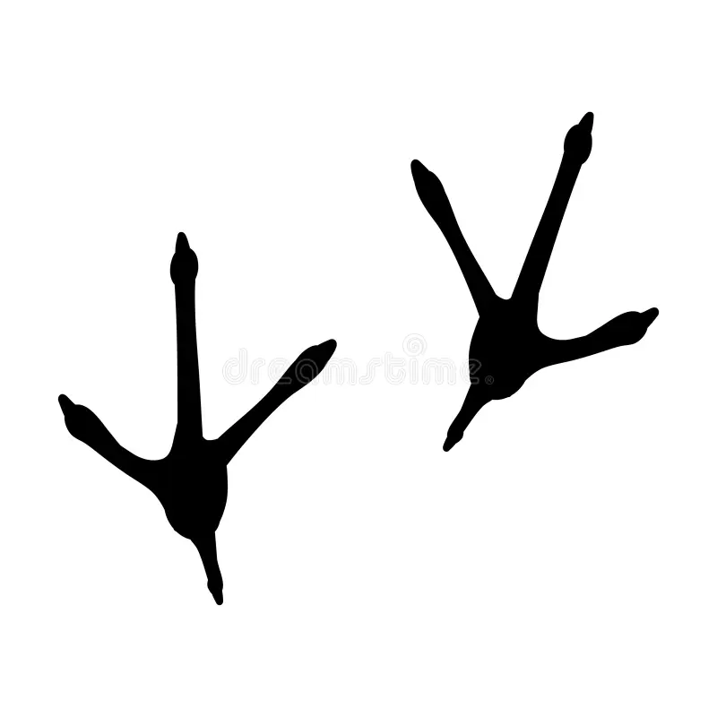 Turkey Footprint