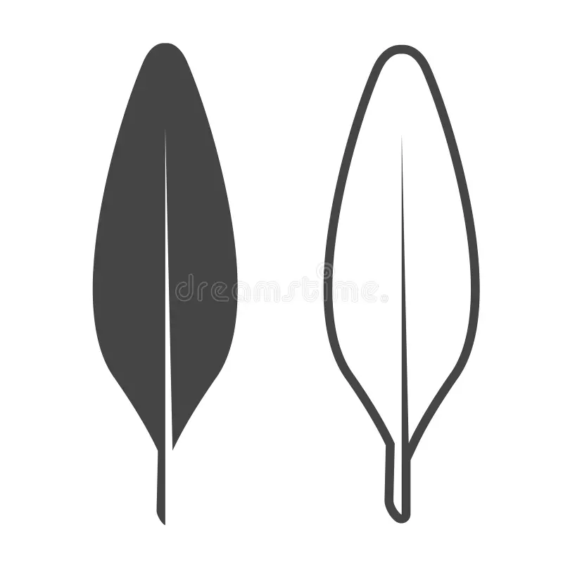bird feather template bird feather template