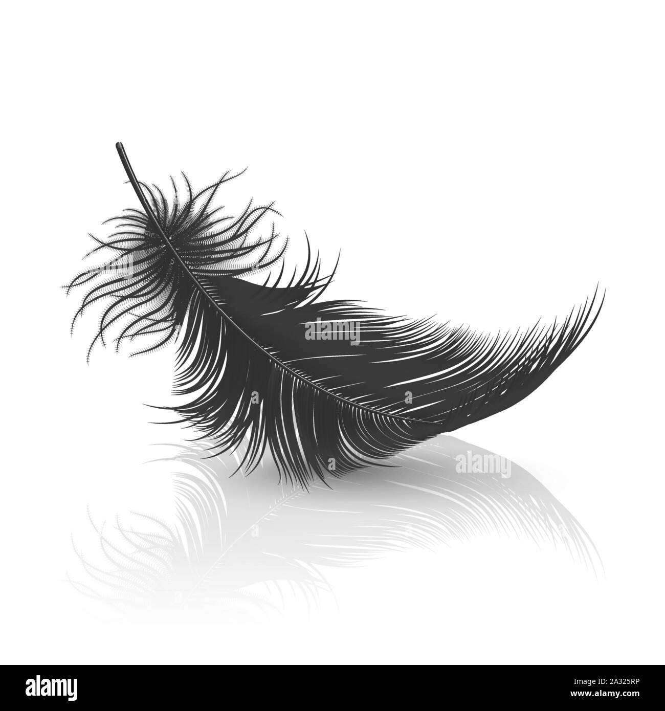 Vector 3d Realistic Falling Black Fluffy Twirled Feather With Reflection Closeup Isolated On White Background Design Template Clipart Of Angel Or Image328889450 Vector 3d Realistic Falling Black Fluffy Twirled Feather With Reflection Closeup Isolated On White Background Design Template Clipart Of Angel Or Image328889450