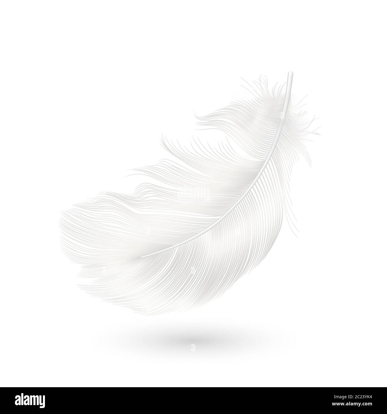 Vector 3d Realistic Falling White Fluffy Twirled Feather Icon Closeup Isolated On White Background Design Template Clipart Of Angel Or Bird Detailed Image362734600