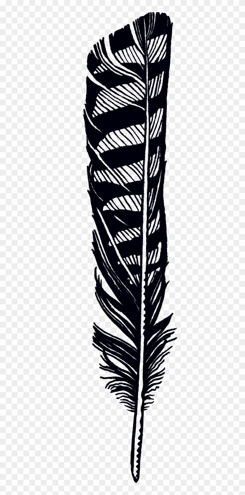 XbwhTR Feather Jen Mussari Transparent Feathers Hawk Banner Hawk XbwhTR Feather Jen Mussari Transparent Feathers Hawk Banner Hawk